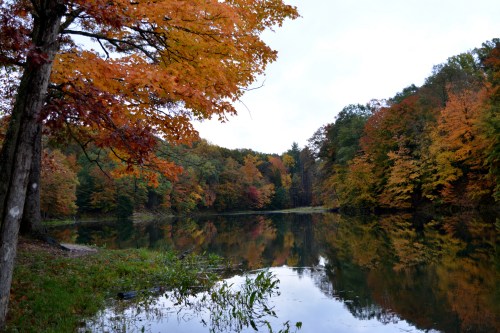 A serene lake surrounded by vibrant autumn foliage reflecting on the water's surface.