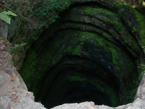 A deep, moss-covered sinkhole surrounded by rocky edges and greenery, showcasing layered earth formations.