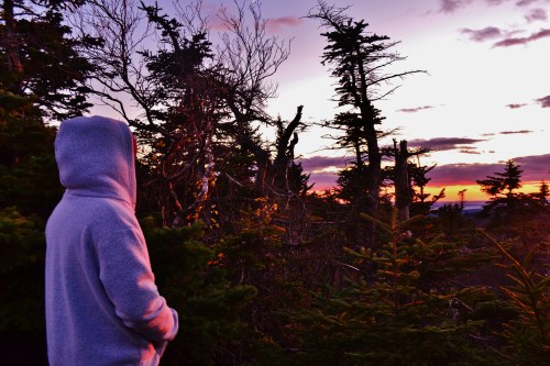 A person in a hoodie stands among trees, gazing at a colorful sunset over a mountainous landscape.