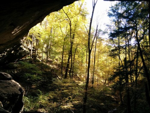A sunlit forest with vibrant autumn leaves, viewed from a rocky overhang.