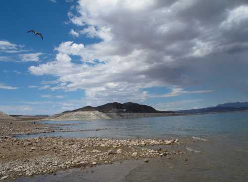 A serene lakeside scene with rocky shorelines, a distant hill, and a bird flying under a cloudy sky.