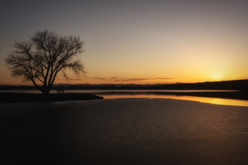 Silhouette of a tree by a calm lake at sunset, with warm hues reflecting on the water's surface.