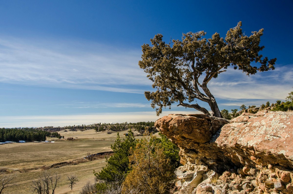 Here Are The Best State Parks To Visit In Denver ASAP