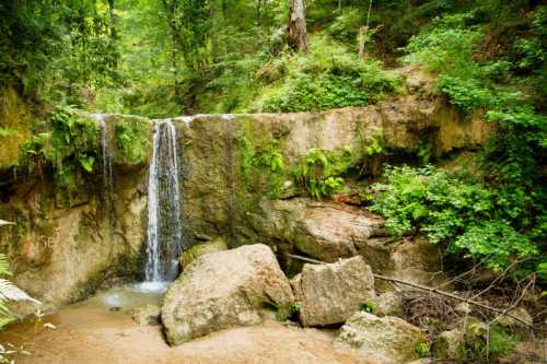 A serene waterfall cascades over rocks, surrounded by lush green foliage in a tranquil forest setting.