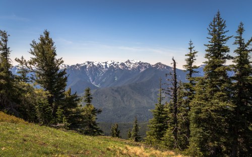 A scenic view of snow-capped mountains surrounded by lush green trees under a clear blue sky.