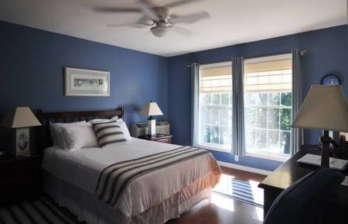 Cozy bedroom with blue walls, a striped bedspread, two windows, and a desk with a chair. Natural light fills the room.