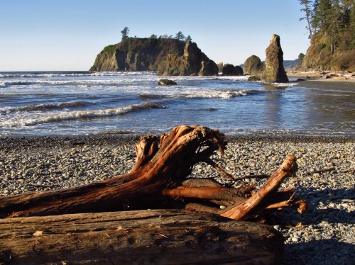 A serene beach scene with rocky formations, gentle waves, and driftwood on a pebbled shore under a clear blue sky.