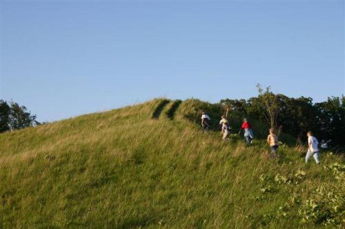 A group of people walking up a grassy hill under a clear blue sky.