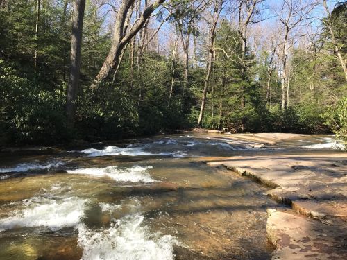 A serene river flows through a wooded area, surrounded by trees and sunlight filtering through the leaves.