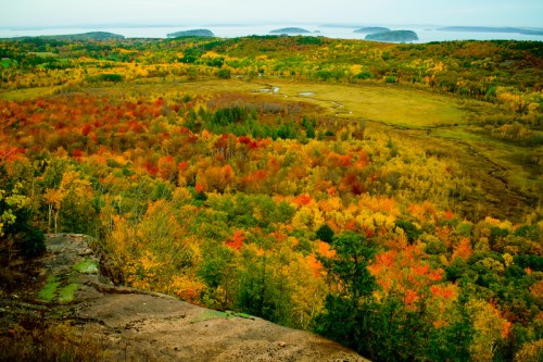 A vibrant landscape of autumn foliage with red, orange, and yellow trees, overlooking a serene body of water and distant hills.