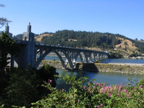 A concrete bridge spans a river, surrounded by lush green hills and blooming flowers in the foreground.