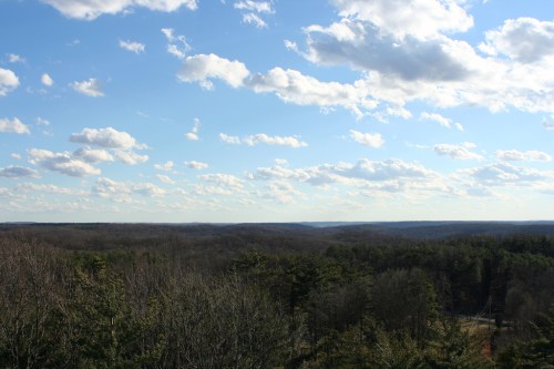 A panoramic view of a forested landscape under a blue sky with scattered clouds.