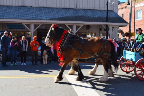 A horse in a harness pulls a cart during a parade, with onlookers watching from the sidewalk.