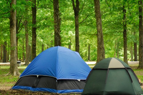 Two tents set up in a lush green forest, surrounded by tall trees and a peaceful camping atmosphere.