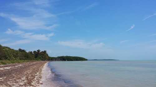 A serene beach scene with a sandy shore, calm water, and a clear blue sky, lined with lush greenery in the background.