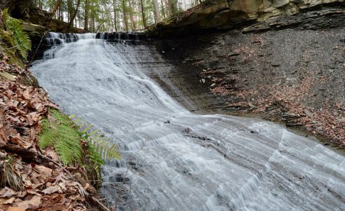 A serene waterfall cascading over rocky terrain, surrounded by lush greenery and fallen leaves.