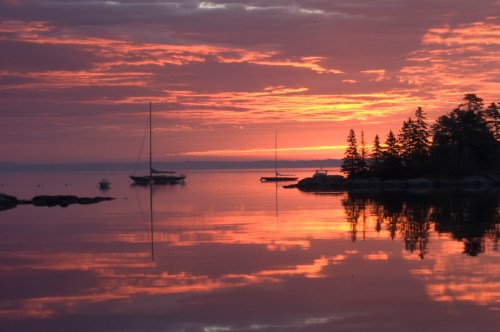 A serene sunset over a calm lake, with sailboats and trees silhouetted against vibrant pink and orange skies.