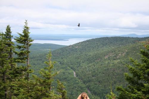 A person bends down on a mountain peak, overlooking a lush green valley and a distant lake under a cloudy sky.