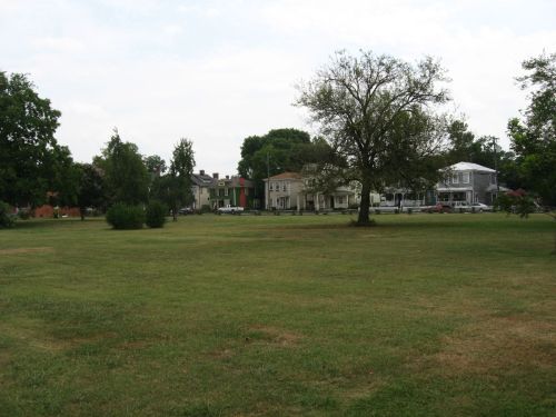 A grassy park with scattered trees and houses in the background under a cloudy sky.