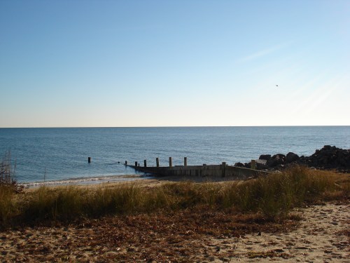 A serene beach scene with calm water, a wooden pier, and grassy shoreline under a clear blue sky.