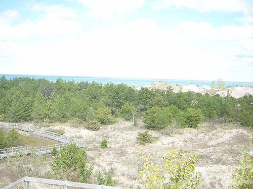 A scenic view of a sandy landscape with green trees and a distant ocean under a cloudy sky.
