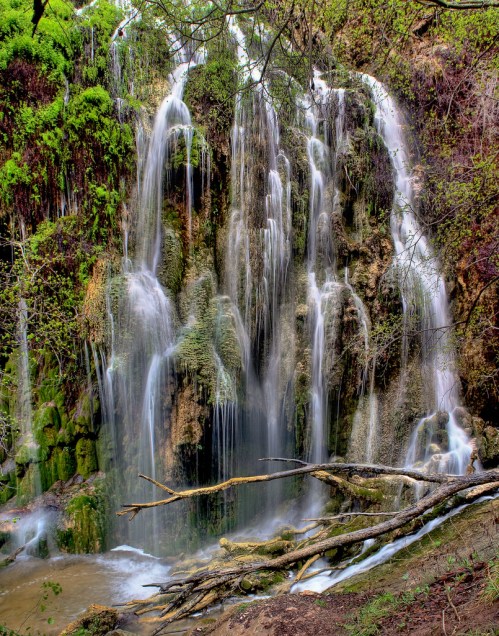A serene waterfall cascading over moss-covered rocks, surrounded by lush greenery and fallen branches.