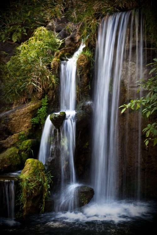 A serene waterfall cascading over moss-covered rocks, surrounded by lush greenery.