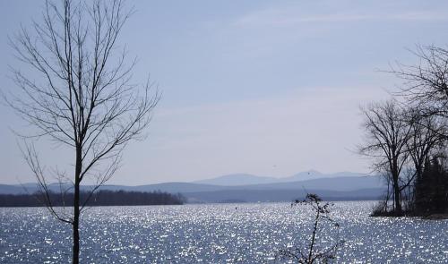 A serene lake reflects sunlight, surrounded by distant mountains and bare trees under a clear blue sky.