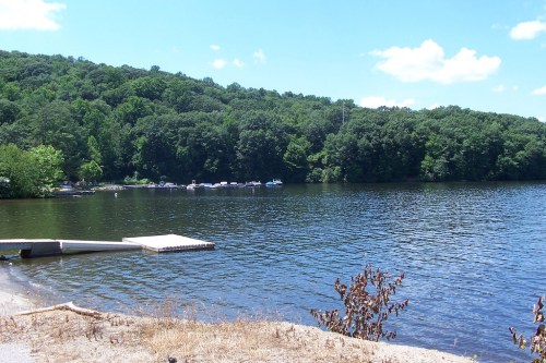A serene lake surrounded by lush green trees under a clear blue sky, with a small dock extending into the water.
