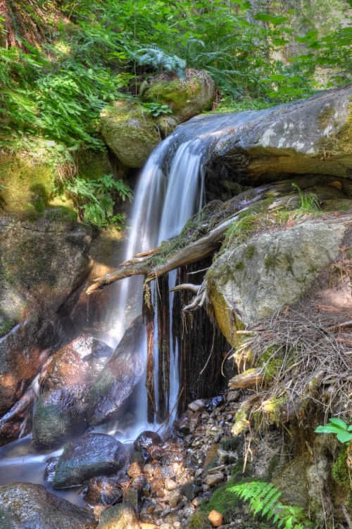 A serene waterfall cascades over rocks, surrounded by lush green foliage and mossy stones.