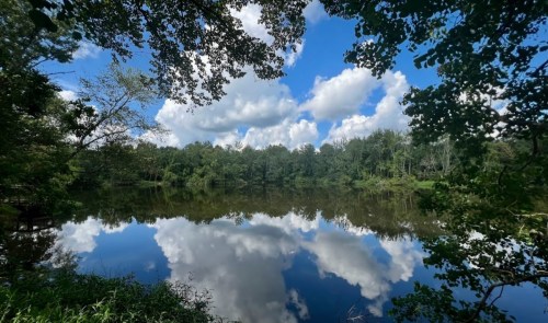 A serene lake surrounded by lush trees, reflecting fluffy clouds and a blue sky.
