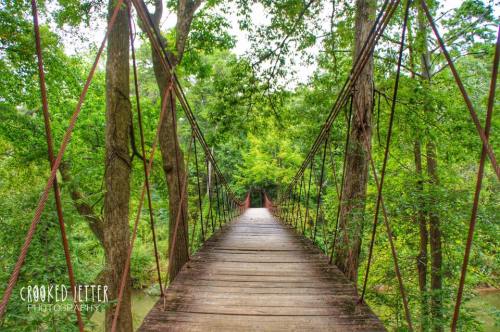 A wooden suspension bridge surrounded by lush green trees, leading into a serene forest.