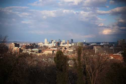 A panoramic view of a city skyline with buildings and trees in the foreground under a cloudy sky.