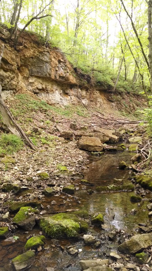 A serene creek flows through a wooded area, surrounded by mossy rocks and lush green trees on a sunny day.