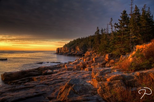 Sunset over rocky coastline with trees, casting warm light on the water and cliffs in a serene landscape.