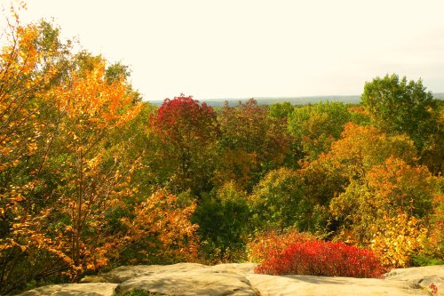 A scenic view of vibrant autumn foliage with trees in shades of orange, red, and yellow under a bright sky.