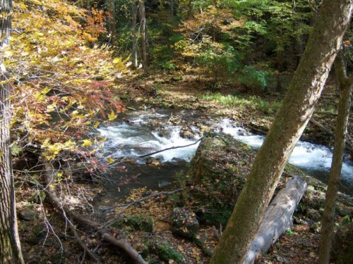 A serene river flows through a forest with autumn leaves, surrounded by trees and rocky banks.