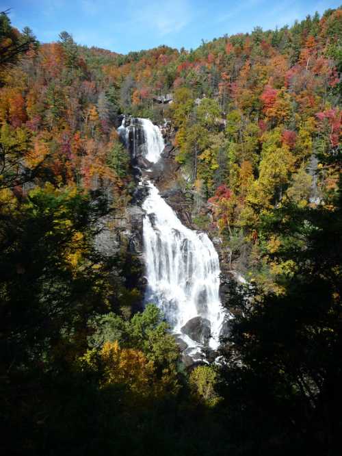 A stunning waterfall cascades down rocky cliffs, surrounded by vibrant autumn foliage in a colorful forest.