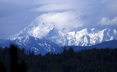 Snow-capped mountains rise above a forest, with clouds partially covering the peaks under a blue sky.