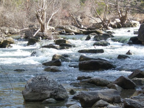 A flowing river with rocky banks and trees in a natural setting, capturing the movement of water over stones.