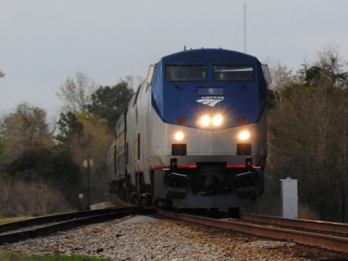 A blue and silver Amtrak train approaches on a set of tracks surrounded by trees and greenery.