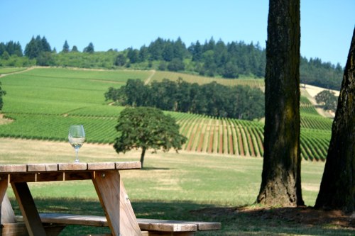 A glass of wine sits on a wooden table, overlooking lush green vineyards and rolling hills under a clear blue sky.