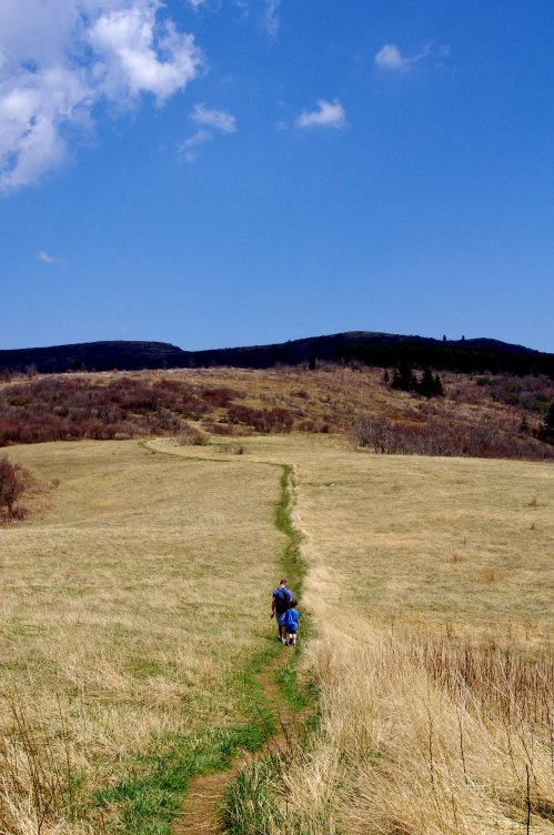 A person walks along a grassy path leading to rolling hills under a blue sky with scattered clouds.