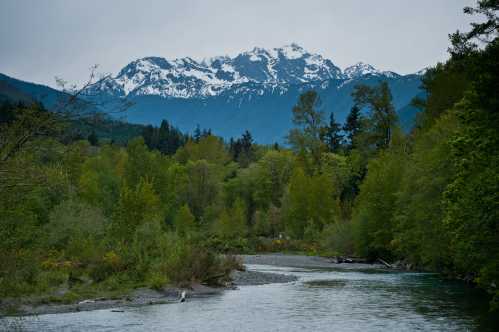 A serene river flows through lush greenery, with snow-capped mountains rising in the background under a cloudy sky.