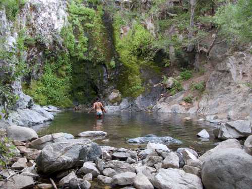 A person wades in a serene pool surrounded by rocks and lush greenery, with a waterfall in the background.