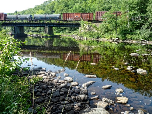 A train crosses a bridge over a river, surrounded by lush greenery and rocky riverbanks reflecting in the water.