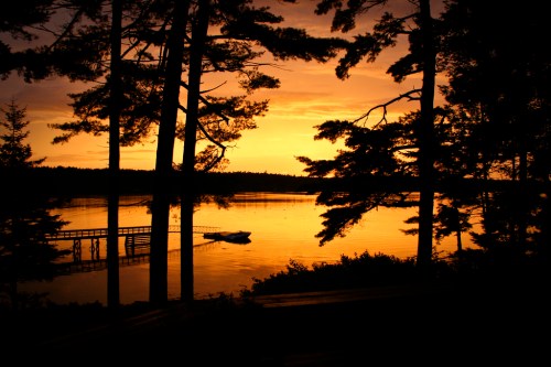 Silhouetted trees frame a serene lake at sunset, with vibrant orange and yellow hues reflecting on the water.