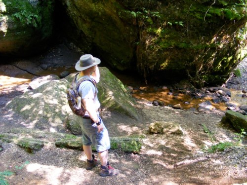 A person in a hat stands by a rocky stream in a lush, green forest, surrounded by moss-covered boulders.