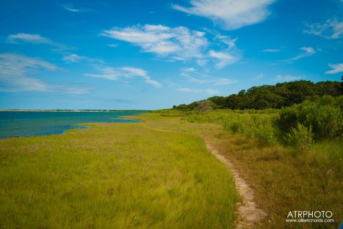 A serene landscape featuring a grassy path along a calm body of water under a blue sky with scattered clouds.