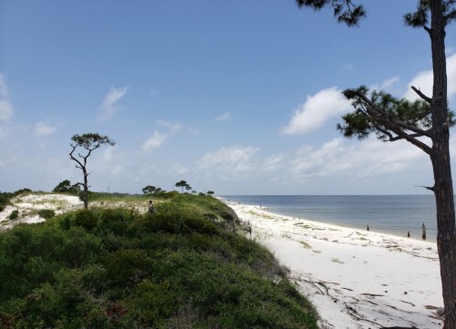 A serene beach scene with white sand, green dunes, and a calm sea under a blue sky with scattered clouds.